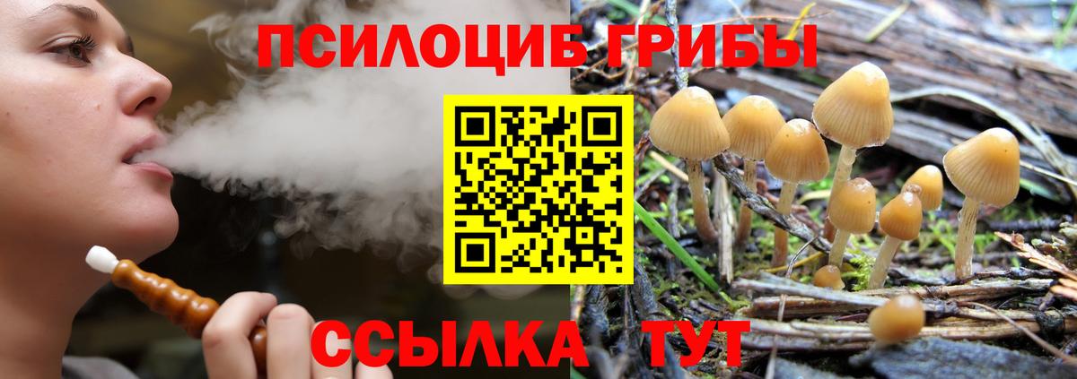 закладки  Псилоцибиновые грибы MAGIC MUSHROOMS  Вход с VPN  Кемерово 
